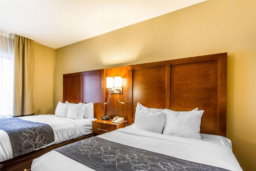 Comfort Suites Mattoon image 19